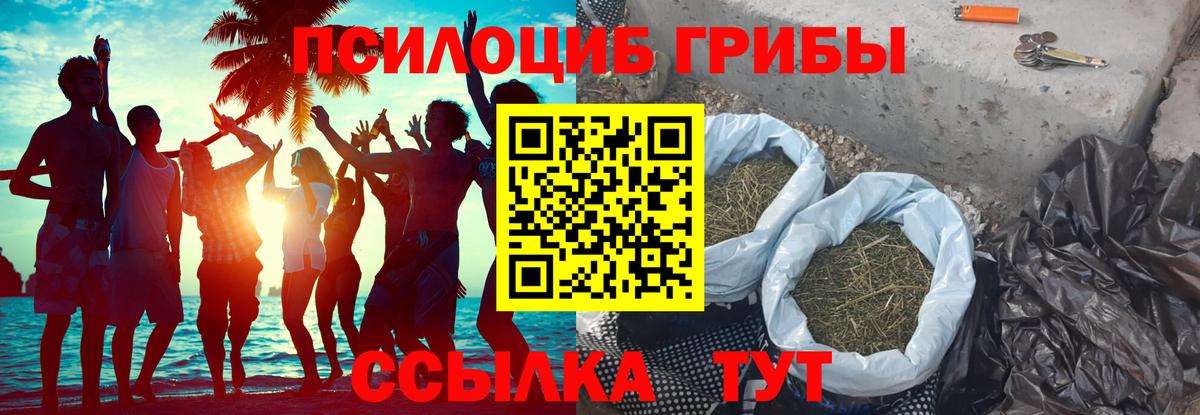 Ипатово  Галлюциногенные грибы мухоморы  Вход с VPN  Псилоцибиновые грибы MAGIC MUSHROOMS 